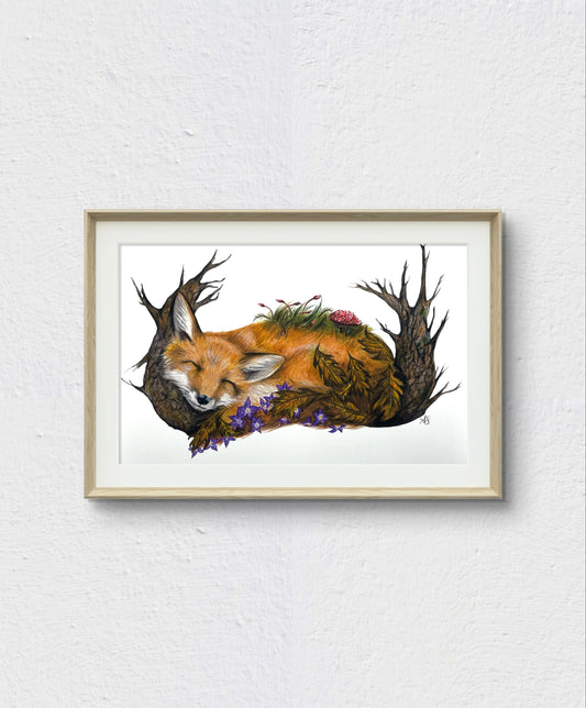 A4 Fox Fine Art Print