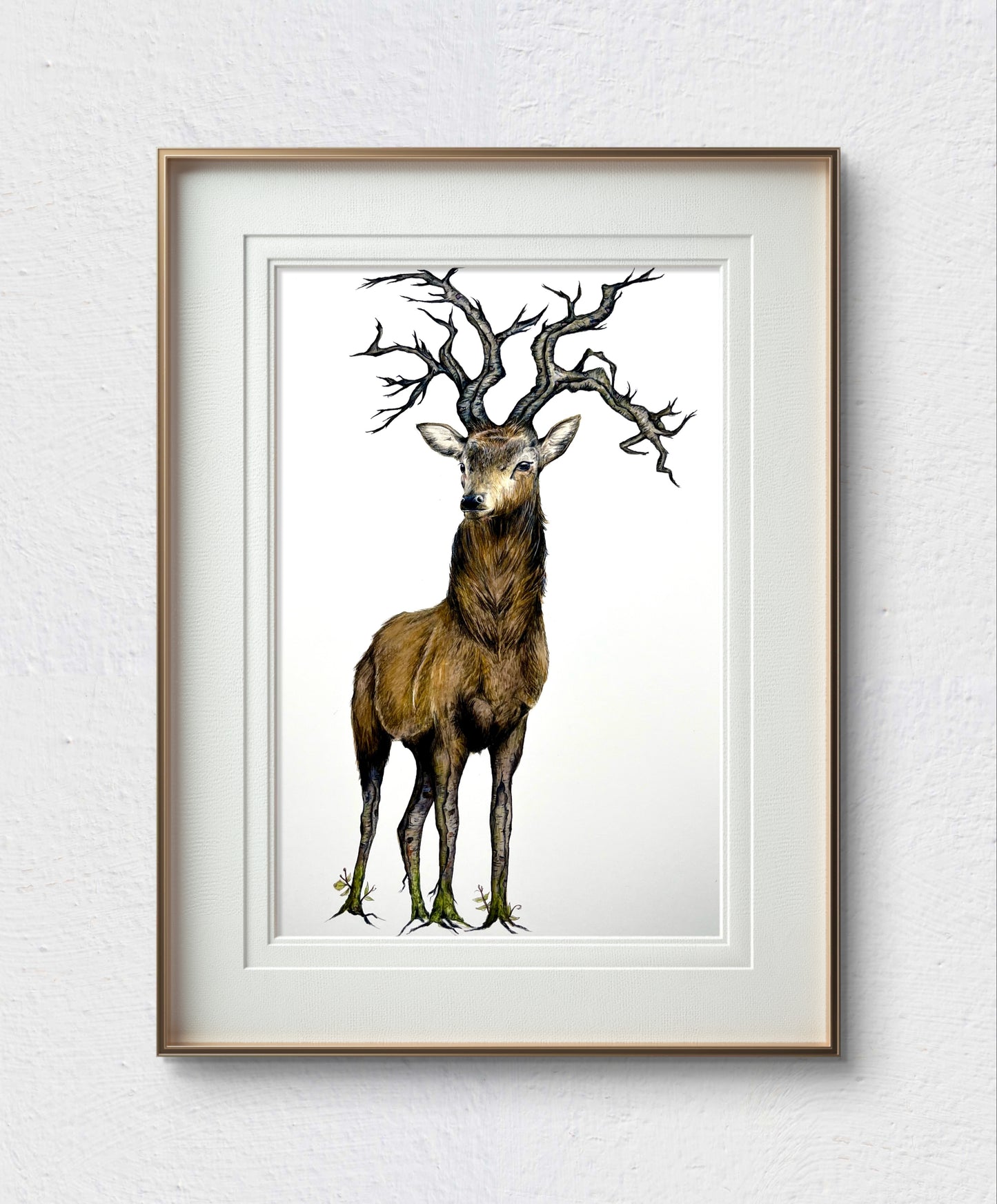 A4 Stag Fine Art Print