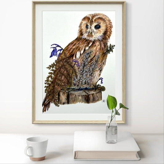 A5 Tawny Owl Fine Art Print