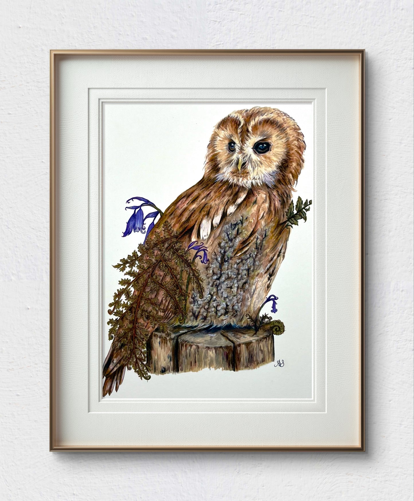 A4 Tawny Owl Fine Art Print