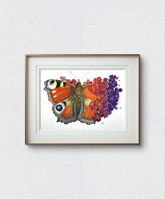 A4 Peacock Butterfly Fine Art Print