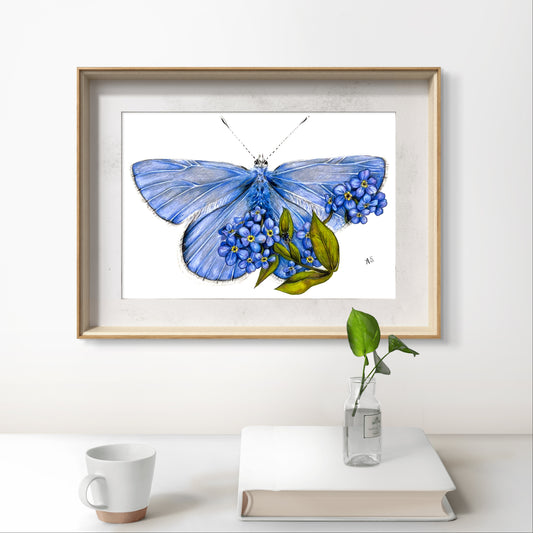 A5 Small Blue Butterfly Fine Art Print