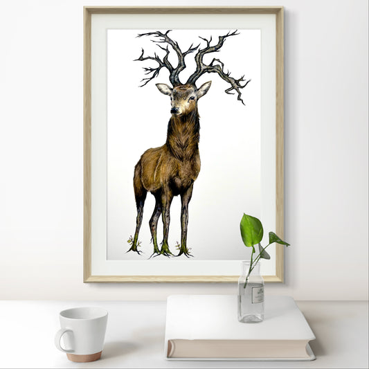 A5 Stag Fine Art Print