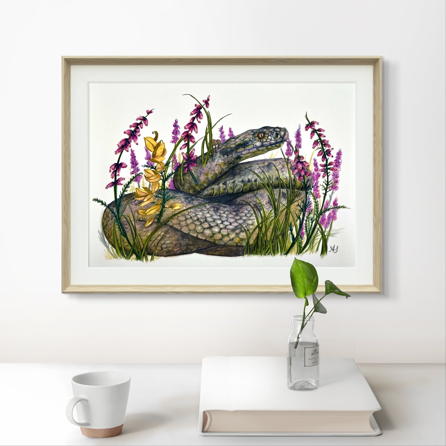 A5 Adder Fine Art Print