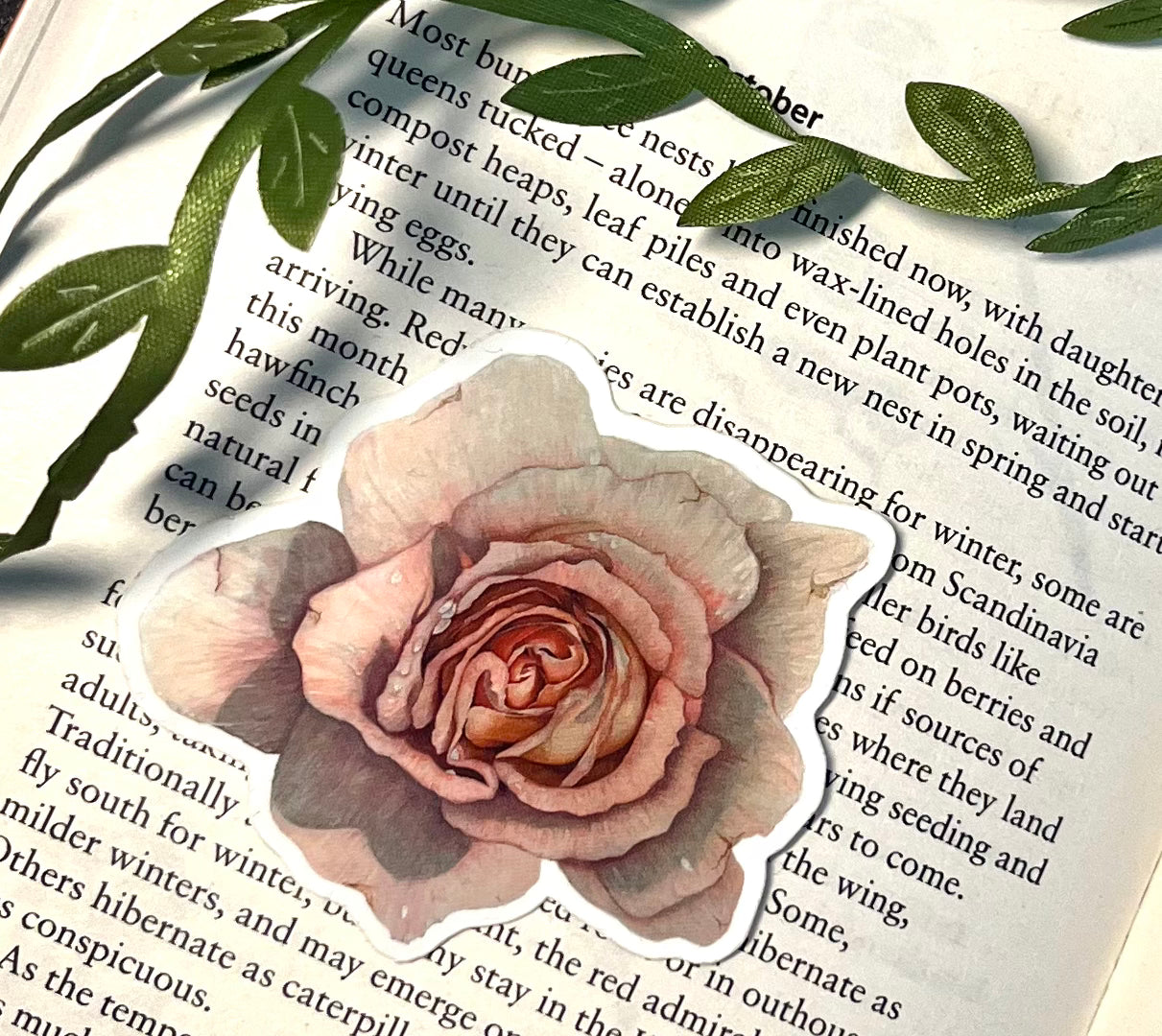 Vinyl Pink Rose Sticker