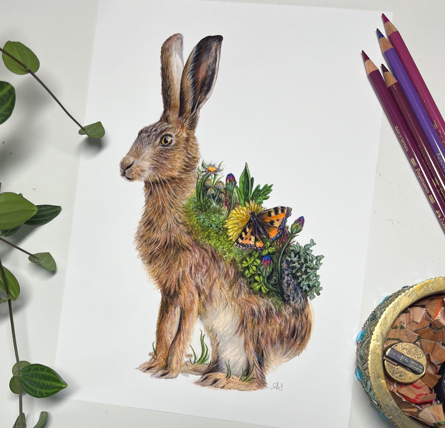 A4 Hare Fine Art Print