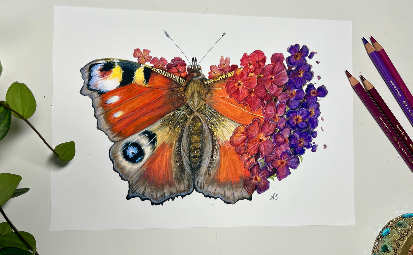 A4 Peacock Butterfly Fine Art Print