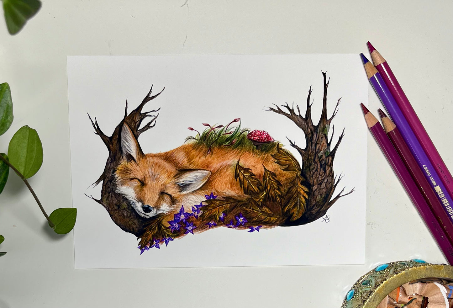 A5 Fox Fine Art Print