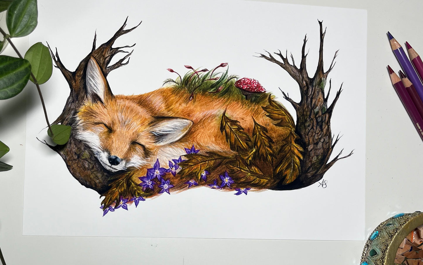 A4 Fox Fine Art Print