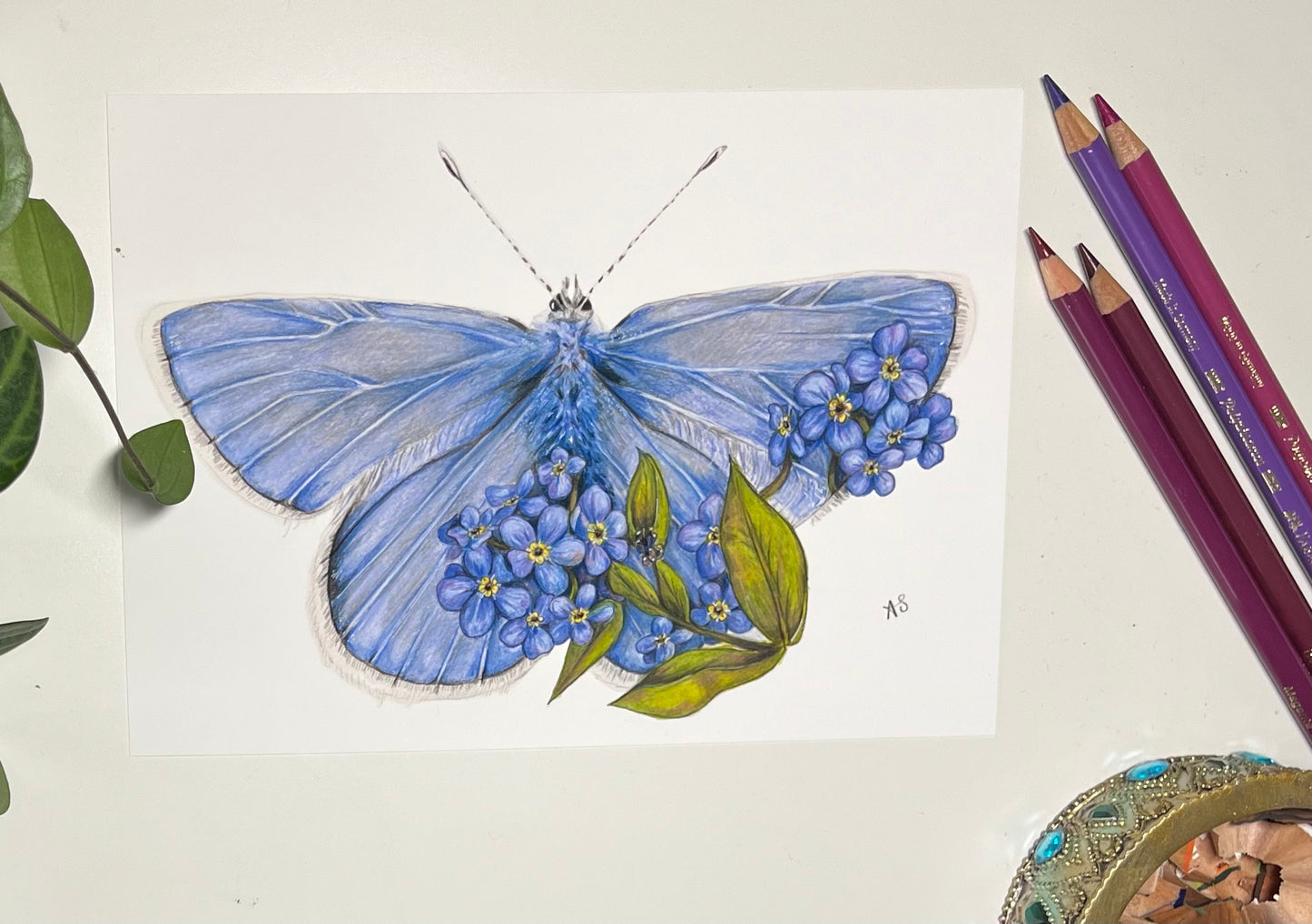 A5 Small Blue Butterfly Fine Art Print