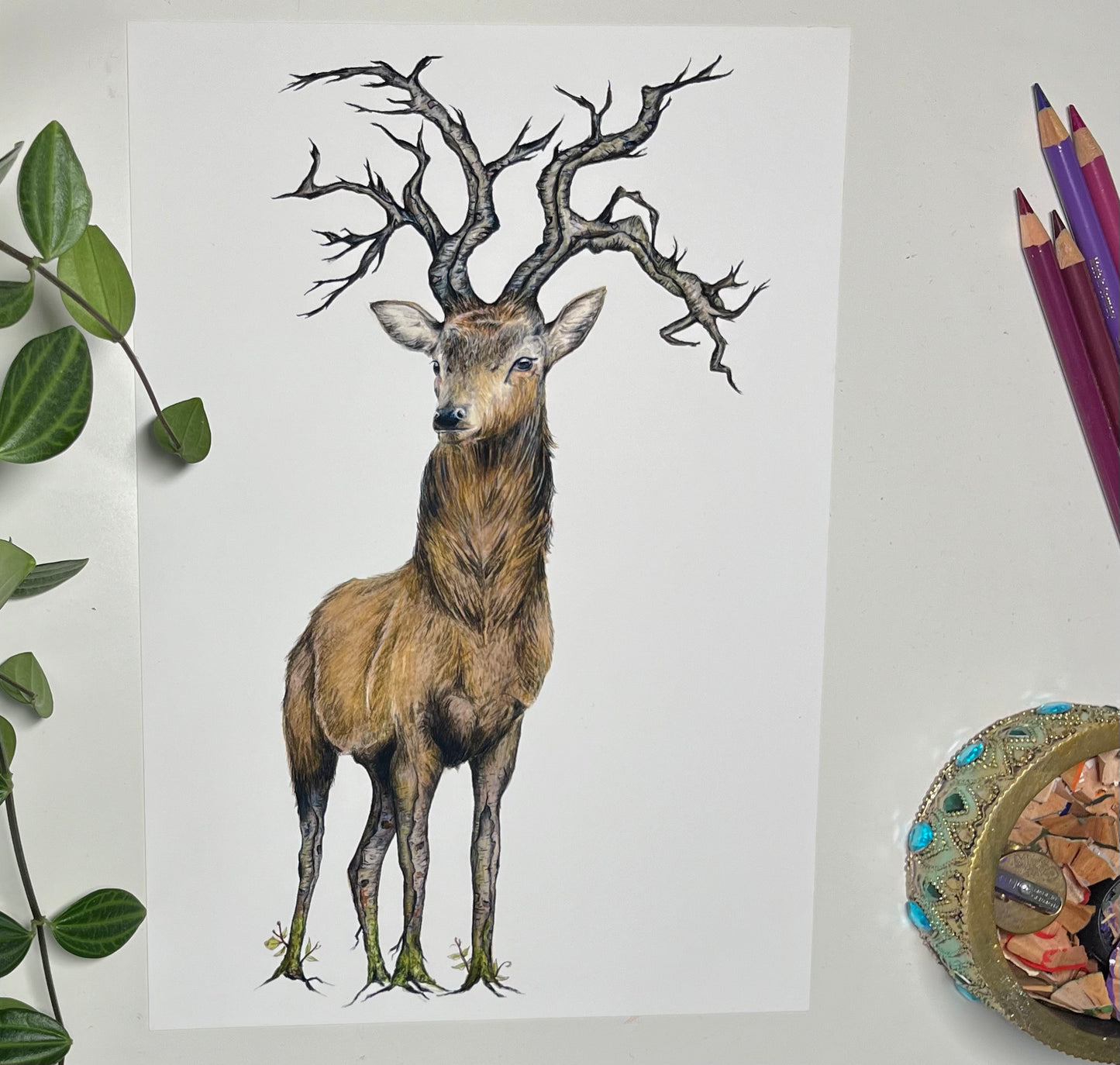 A4 Stag Fine Art Print