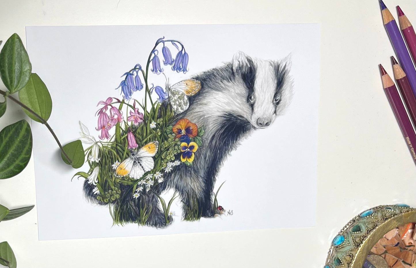 A5 Badger Fine Art Print