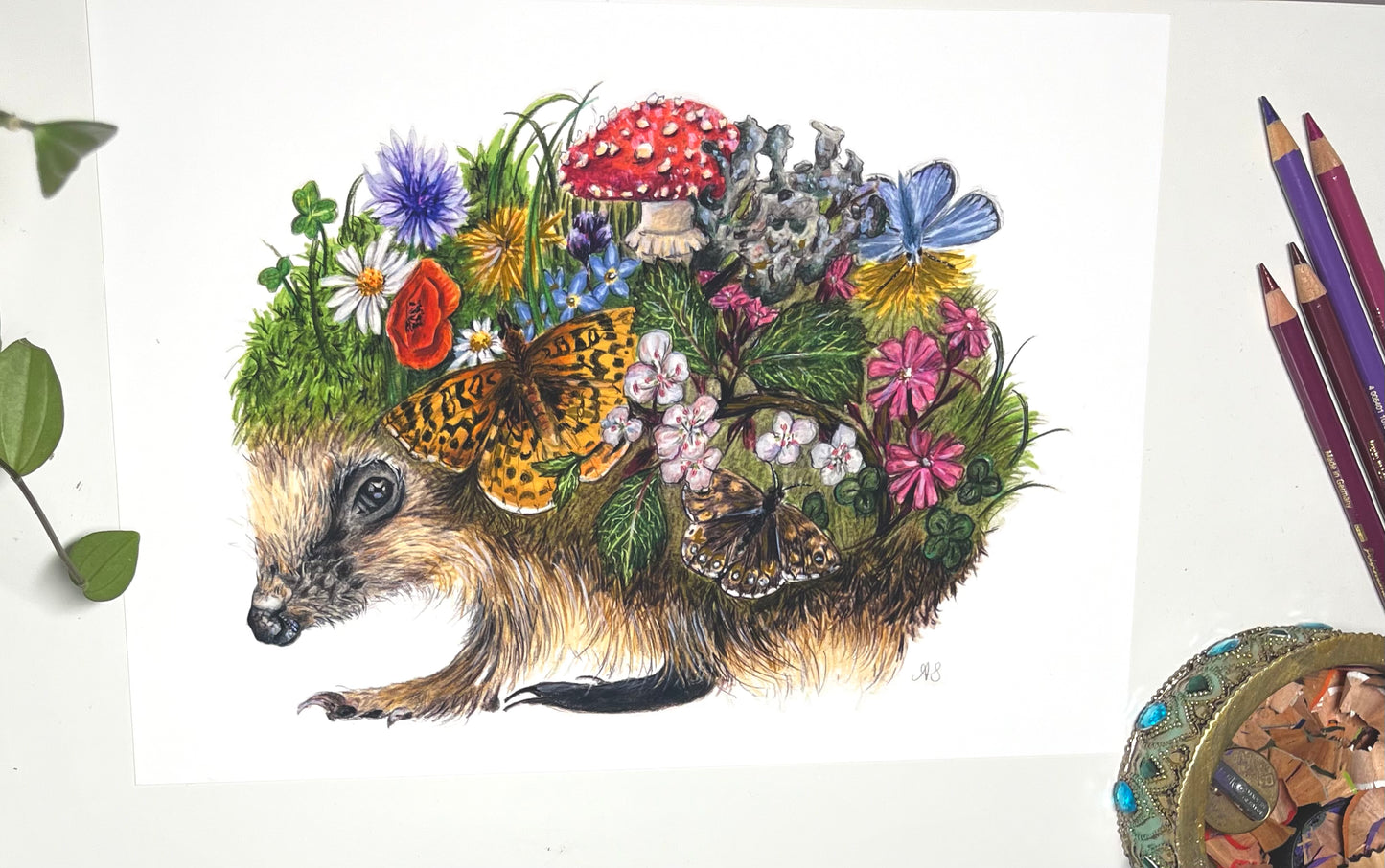 A4 Hedgehog Fine Art Print