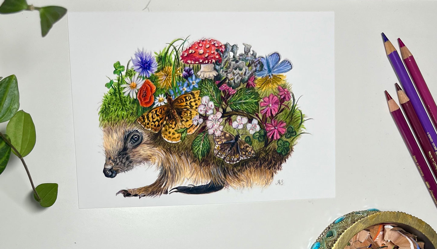 A5 Hedgehog Fine Art Print