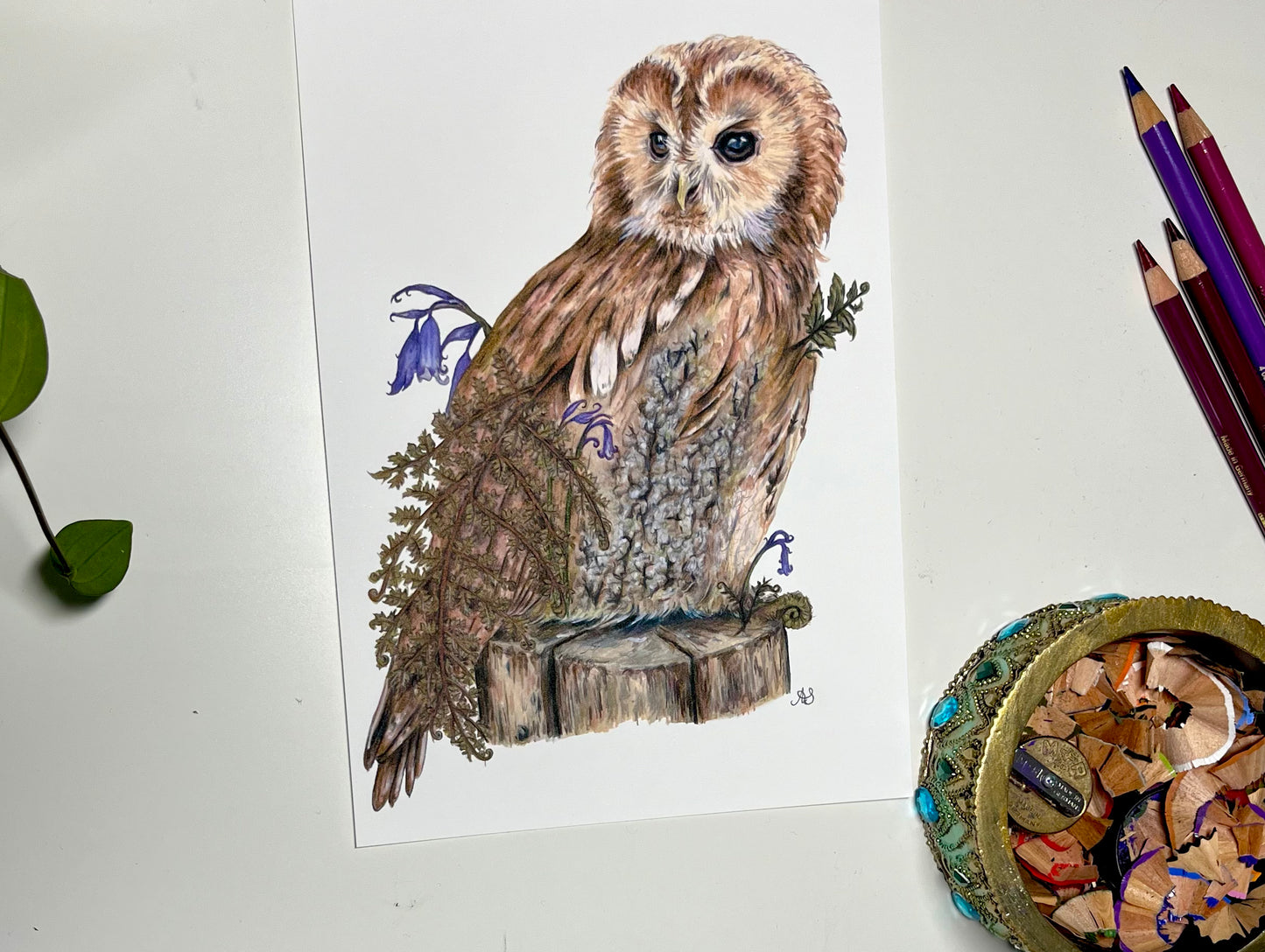 A4 Tawny Owl Fine Art Print