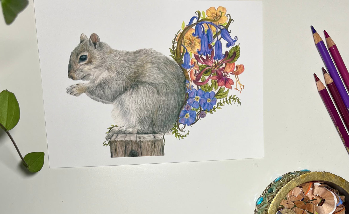 A5 Squirrel Fine Art Print